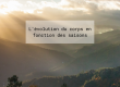 L'évolution du corps en fonction des saisons