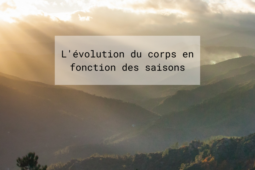 L'évolution du corps en fonction des saisons